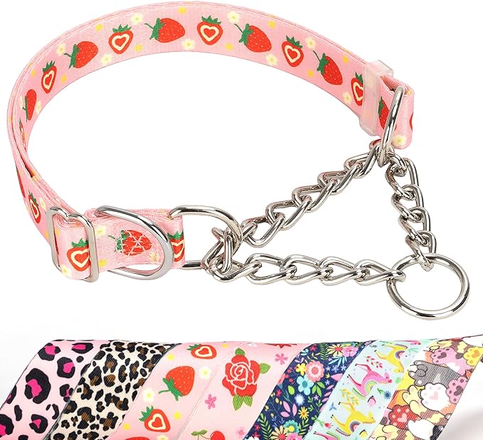 Pink Strawberry Martingale Dog Collar with Chain - No-Pull Training Collar Soft & Durable Design for Medium, Large & XL Dogs (Medium, Strawberry)