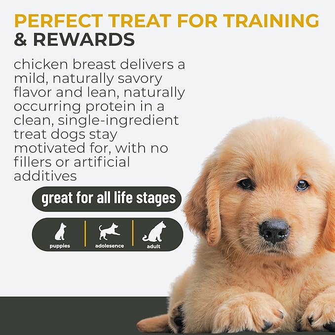 Momentum Carnivore Nutrition Freeze-Dried Chicken Breast Dog Treats & Cat Treats – Single-Ingredient, High-Protein, Grain-Free, Lean & Easily Digestible – Made in USA – 3 oz Bag