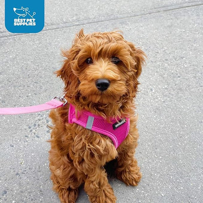 Best Pet Supplies Voyager Step-in Air Harness - All Weather Mesh, Reflective, No Pull Harness for Dogs, Cats - Secure with Hook & Loop Fastener, Buckle, Double D-Rings - Fuchsia, M