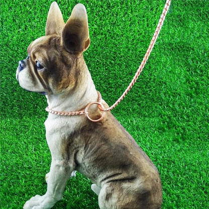 Dog P Snake Chain Chrome Plated Metal Dog Training Choke/Collar-Fully Guaranteed Against Rust Tarnish or Breakage-Recommended for Professional Training (Golden, 5mm * 26")
