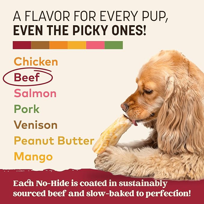 Earth Animal No Hide Chews - Long Lasting Rawhide Free Small Dog Chews Rolls, Beef - 2 Count