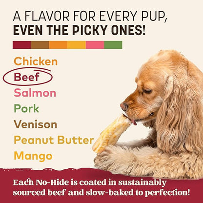 Earth Animal No Hide Chews - Long Lasting Rawhide Free Small Dog Chews Rolls, Beef - 2 Count