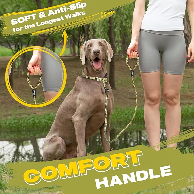 Fida Durable Slip Lead Dog Leash, 6 FT x 3/8" Heavy Duty Comfortable Strong Rope Slip Lead for Small Dogs and Puppies, No Pull Pet Training Leash with Highly Reflective (3/8", Yellow)