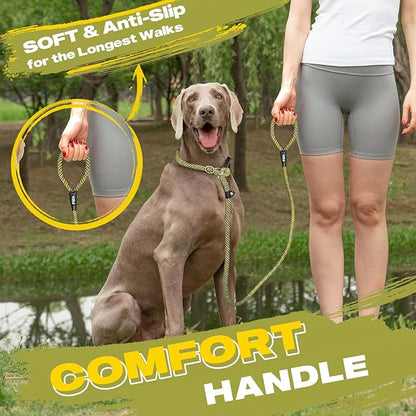 Fida Durable Slip Lead Dog Leash, 6 FT x 3/8" Heavy Duty Comfortable Strong Rope Slip Lead for Small Dogs and Puppies, No Pull Pet Training Leash with Highly Reflective (3/8", Yellow)