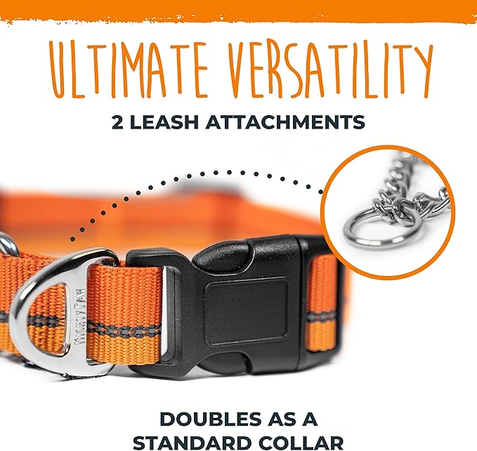 Mighty Paw Martingale Dog Collar 2.0 | Trainer Approved Limited Slip Collar with Stainless Steel Chain & Heavy Duty Buckle - Modified Cinch for Gentle & Effective Pet Training - Large, Orange