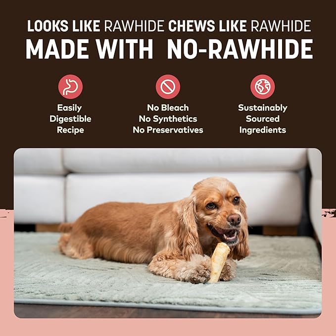 Earth Animal No-Hide Rolls Strawberries & Cream Vegetarian Recipe Small Natural Rawhide Alternative Dog Chews, 6 Pack Value Pack