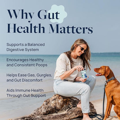 Veterinary Formula Gut Health Supplement for Dogs – Vet-Formulated Probiotic Chews with Digestive Enzymes & Fiber – Smart Vitality Support Digestive Health, Gut Balance & Stool Quality, 120 Soft Chews