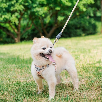 BEAUTYZOO Small Dog Harness and Leash Set,Step in No Choke No Pull Soft Mesh Dog Harnesses Reflective for Extra Small Medium Puppy Dogs and Cats, Plaid Dog Vest Harness for XS S Pets, Beige S