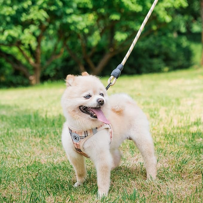 BEAUTYZOO Small Dog Harness and Leash Set,Step in No Choke No Pull Soft Mesh Dog Harnesses Reflective for Extra-Small Medium Puppy Dogs and Cats, Plaid Dog Vest Harness for XS S Pets, Beige XS