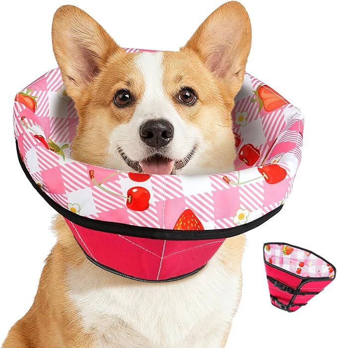 Soft Dog Cone Collar After Surgery: Adjustable Long Foldable Comfy Recovery Shame Elizabethan Stop Licking Small Medium Large Dogs (Red, L)