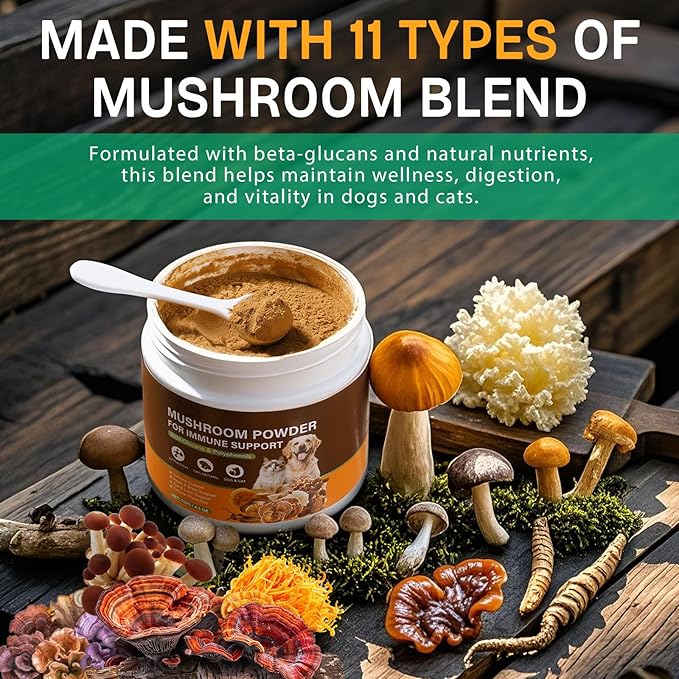 Mushroom Supplement for Dogs & Cats with Turkey Tail - Lipoma for Cats, 11 Blend Wild Mushroom Complex, Immune Support & Digestive Health for Pets - Enhances Liver Function