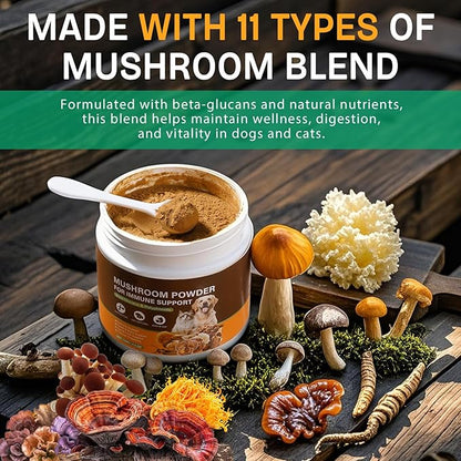 Mushroom Supplement for Dogs & Cats with Turkey Tail - Lipoma for Cats, 11 Blend Wild Mushroom Complex, Immune Support & Digestive Health for Pets - Enhances Liver Function