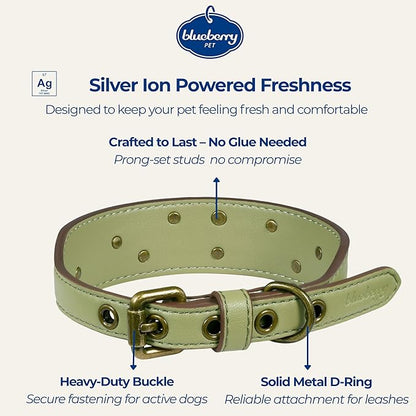 Blueberry Pet Premium Embossed Sage Green Glam Silver-Powered Freshness Microfiber Leather Dog Collar with Antique Brass Studs