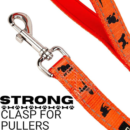 EcoBark Dog Leash - Soft & Reflective Comfort Leashes with Padded Handle - Safe, Strong, & Durable for Small, Medium or Large Dogs (Orange)