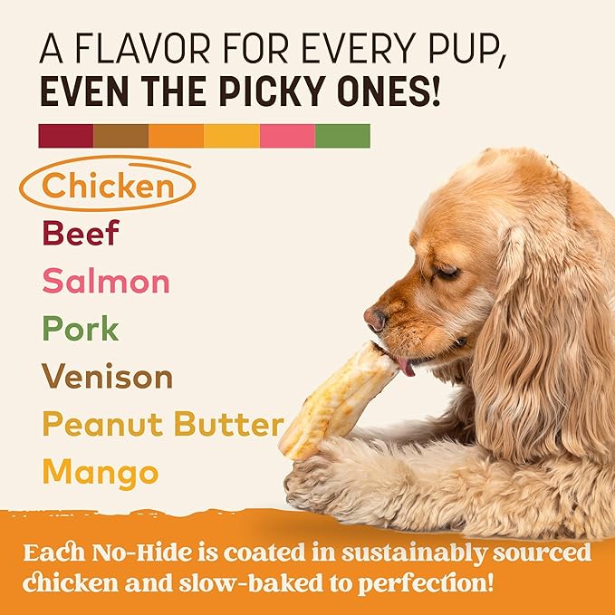 Earth Animal No Hide Chews - Long Lasting Rawhide Free Small Dog Chews Rolls, Chicken - 2 Count