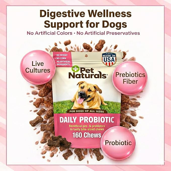 Pet Naturals Daily Probiotic Soft Chews for Dogs, Digestive and Immune Support Supplement, 1 Billion CFU Per Chew, Duck, 160 Count