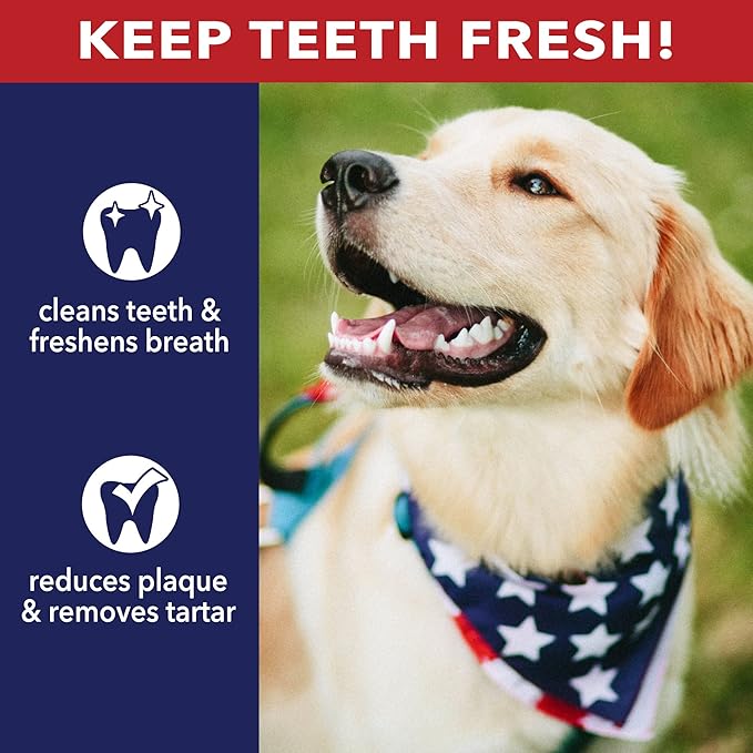 Pet Factory 100% Made in USA Beefhide Chip Rolls Dog Rawhide Chews,Thick,Dog Chews Long Lasting from American Cattle,Dog-Chew Bones,5 Inches,22 Count (Pack of 2)