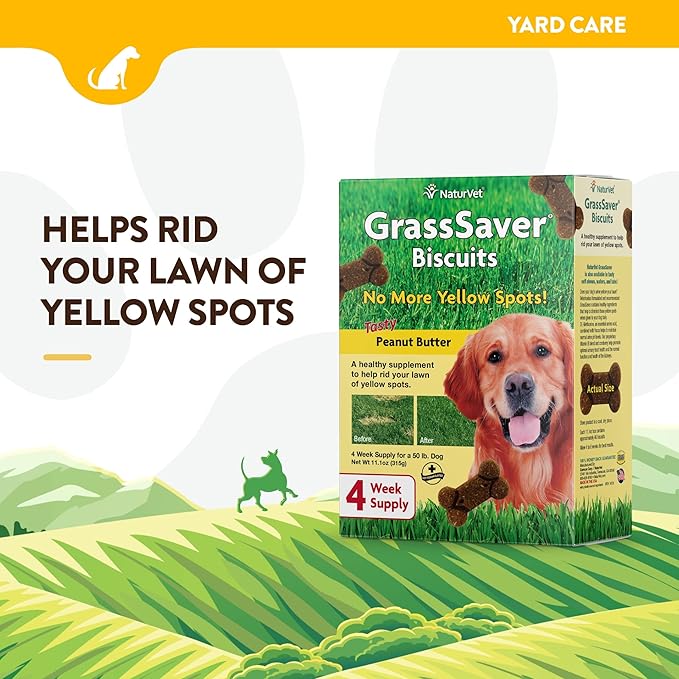 NaturVet GrassSaver|Biscuits for Dogs – Help Keep Grass Green, Rid Your Lawn of Yellow Patches Caused by Dog Urine| No More Yellow Spots| DL-Methionine Peanut Butter Flavor – 11 oz