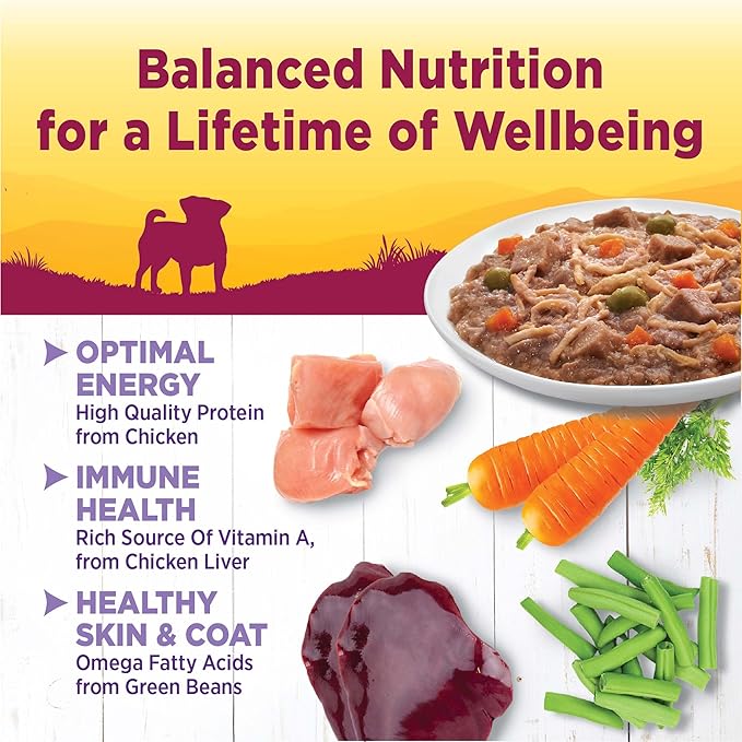 Wellness Petite Entrees Shredded Medley Small Breed Adult Wet Dog Food, Grain Free, Natural, Roasted Chicken, Duck, Peas, and Carrots, 3 oz, Pack of 12 Cups