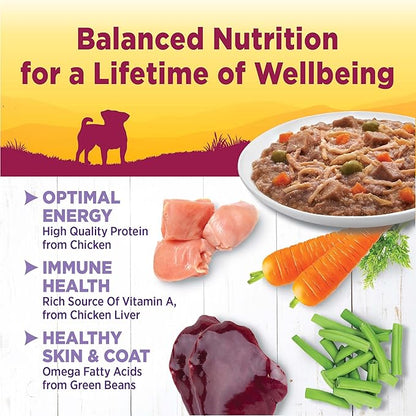 Wellness Petite Entrees Shredded Medley Small Breed Adult Wet Dog Food, Grain Free, Natural, Roasted Chicken, Duck, Peas, and Carrots, 3 oz, Pack of 12 Cups