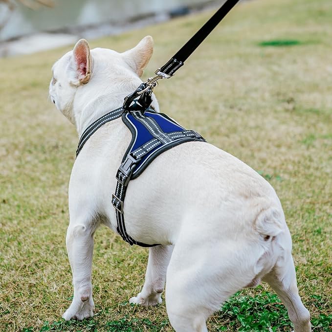 PUPTECK Dog Harness and Leash Set Medium Sized, Adjustable Reflective Escape Proof Puppy Vest, No Pull Walking Harness Easy Control