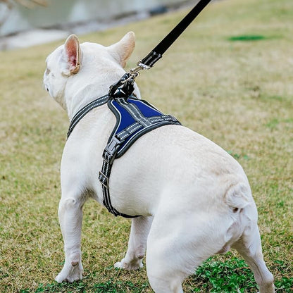 PUPTECK Dog Harness and Leash Set Medium Sized, Adjustable Reflective Escape Proof Puppy Vest, No Pull Walking Harness Easy Control