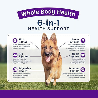 Natural Balance Health Protection Large Breed Dry Dog Food – Whole Body Health, Easy on Digestion Dog Food Made with Salmon, Brown Rice & Pumpkin for Dogs - 26lbs