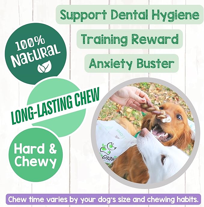 Nature Gnaws Braided Bully Sticks for Dogs 5-6" (10 Count) - Long Lasting for Small and Medium Dogs - Natural Beef Dog Chew Bones - Rawhide Free