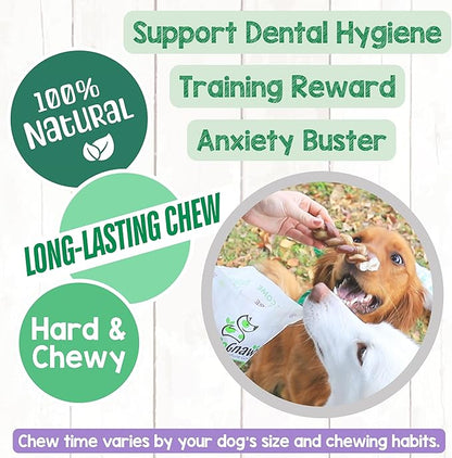 Nature Gnaws Braided Bully Sticks for Dogs 5-6" (10 Count) - Long Lasting for Small and Medium Dogs - Natural Beef Dog Chew Bones - Rawhide Free
