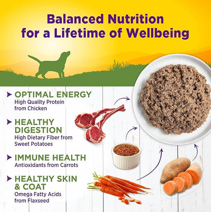 Wellness Complete Health Pate Adult Canned Wet Dog Food, Wholesome Grains, Natural, Lamb and Sweet Potato, 12.5 oz, Pack of 12 Cans