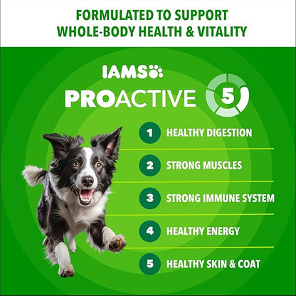 IAMS Proactive Health Minichunks Premium Dry Dog Food, Adult Dog Food Dry Recipe, 15 lb. Bag