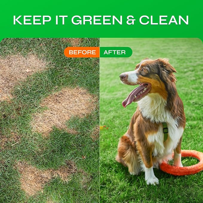 Dog Urine Neutralizer for Lawn with Probiotics - 234 Billion CFU per Pack - Grass Savers for Dog Urine with Digestive Enzymes, Cranberry - Green Grass Dog Chews for Gut Health Support - 130 Treats