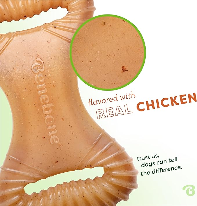 Benebone Dental Durable Dog Chew Toy for Aggressive Chewers, Real Chicken, Made in USA, Medium