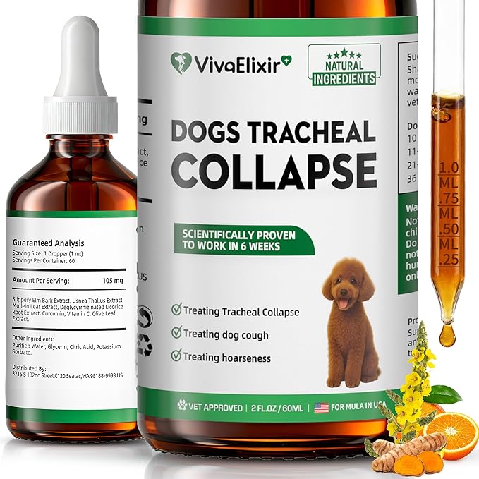 Dog Cough Treatment Liquid – Tracheal Collapse Support for Dogs – Herbal Drops with Slippery Elm, Mullein & Olive Leaf – Helps Soothe Throat, Calm Coughing & Support Breathing