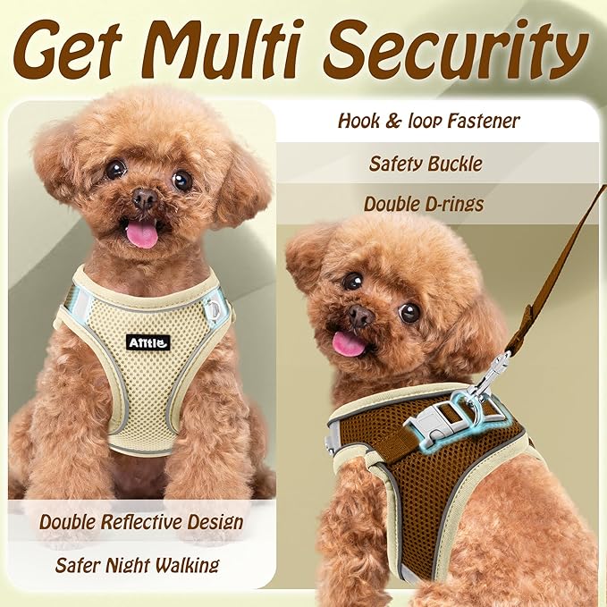 AIITLE No Pull Dog Harness and Leash Set, Step in Adjustable Dog Harness with Padded Vest for All Weather, Dog Leash with Soft Padded Handle, Easy to Put on Small and Medium Dogs Beige S