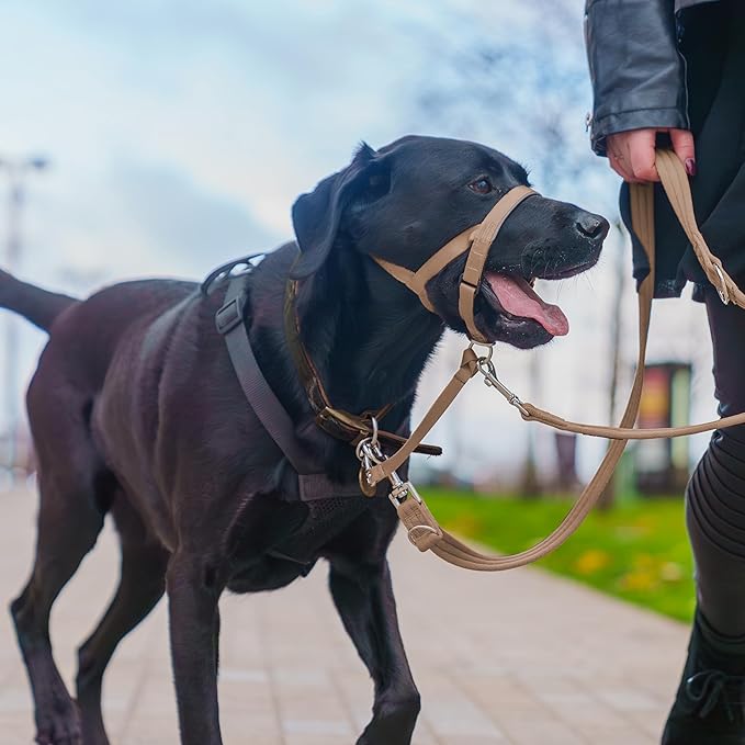 Halti Headcollar - Stop Your Dog Pulling on The Leash. Adjustable, Reflective and Lightweight, with Padded Nose Band. Dog Training Anti-Pull Collar for Large Dogs (Size 4, Desert Sand)