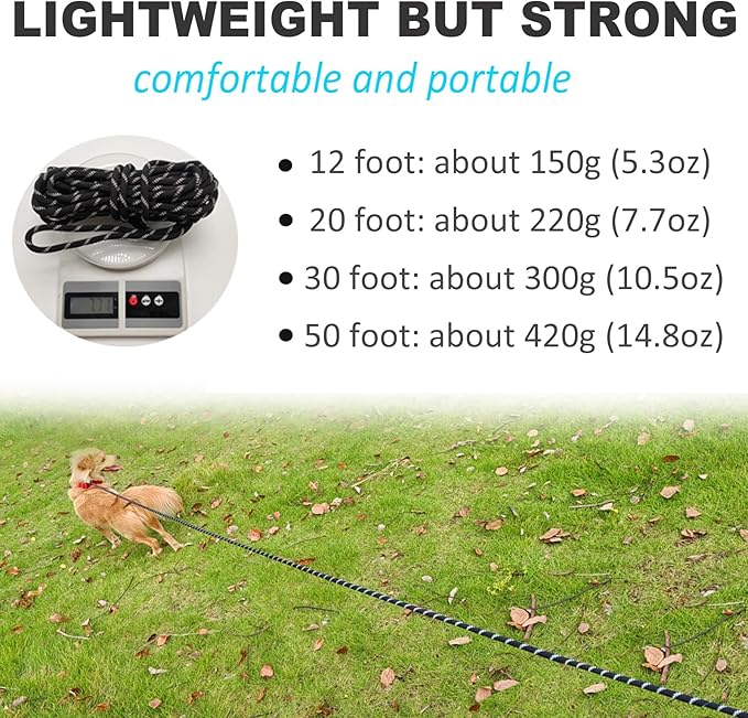 12FT Long Slip Lead Leash, 20ft 30ft 50ft Reflective Rope Training Lead Anti-Choking for Medium Dogs Small Puppy Pets Outdoor- Backyard- Playing- Recall- Traning (Black)