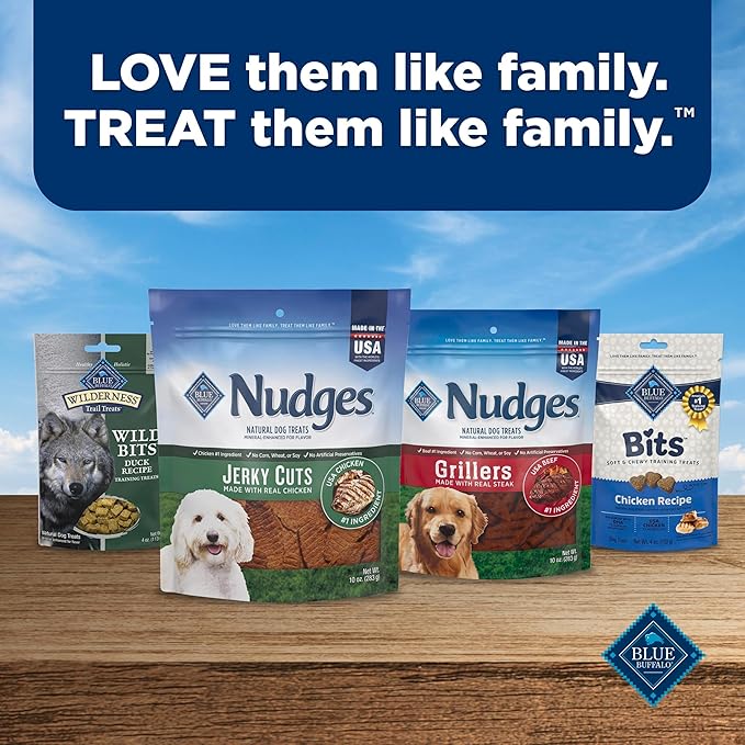 Blue Buffalo Nudges Jerky Bites Dog Treats, Made in the USA with Natural Ingredients, Bite-Sized Pieces, Chicken, 16-oz Bag