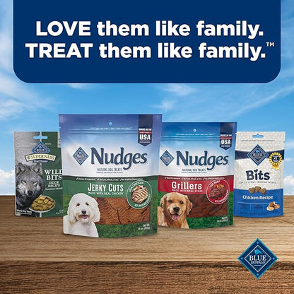 Blue Buffalo Nudges Jerky Bites Dog Treats, Made in the USA with Natural Ingredients, Bite-Sized Pieces, Chicken, 16-oz Bag