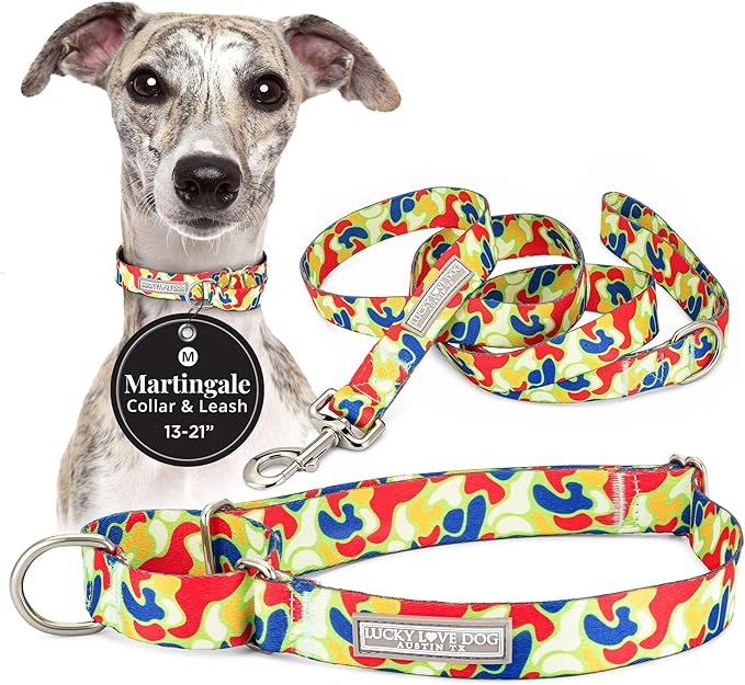 Lucky Love Dog Martingale Dog Collar & Leash - Adjustable, No-Slip, Durable, Comfortable, Soft Webbing, & Stylish Patterned Collar & Leash Set for Male and Female Dogs - Oscar Combo, Medium