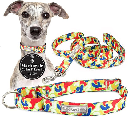 Lucky Love Dog Martingale Dog Collar & Leash - Adjustable, No-Slip, Durable, Comfortable, Soft Webbing, & Stylish Patterned Collar & Leash Set for Male and Female Dogs - Oscar Combo, Medium