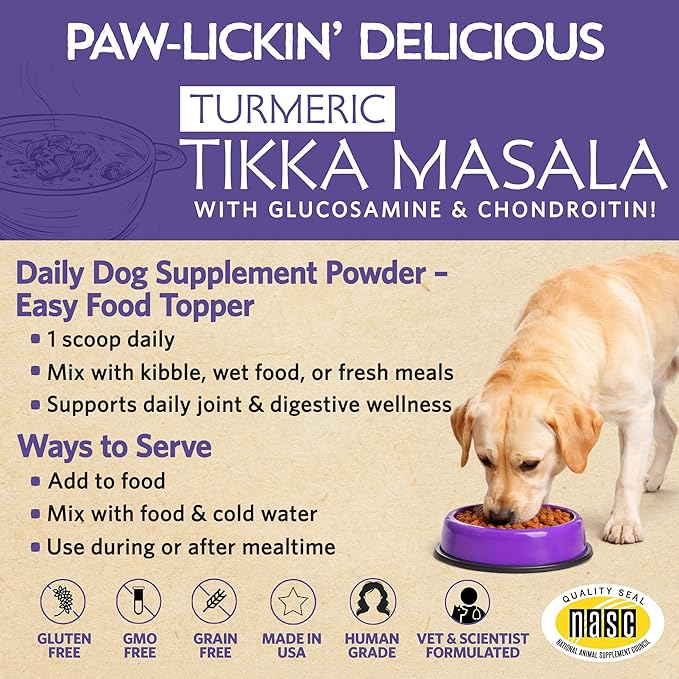 Fidobiotics Hip & Joint Support for Dogs with Probiotics – Glucosamine, Chondroitin, MSM & Green Lipped Mussel – Dog Joint Supplement Powder Food Topper for Mobility & Digestion (20 Servings)