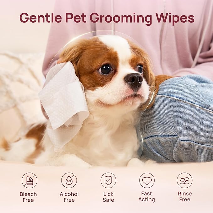 HICC PET Wipes for Dogs and Cats, Vet-Recommended Pets Cleaning Wipes, Deodorizing Hydrating, Nourishes Smoothes Fur, Fermented Coconut Oil Grooming Horse Skin, Coat & Hoof, Unscented, 100 Count