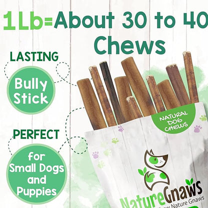 Nature Gnaws Thin Bully Sticks for Dogs 5-6" (1Lb) - Mixed Thickness - Long Lasting for Small Dogs and Puppies - Natural Thin Beef Dog Chew Bones - Rawhide Free
