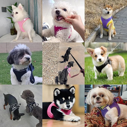 Dog Harness with Leash Set, No-Pull Step-in Reflective Pet Harness with 1 Leash Clips, Adjustable Soft Padded Easy Walk Dog Vest for Small Medium Large Dogs, Cats(Rose Red, Small)