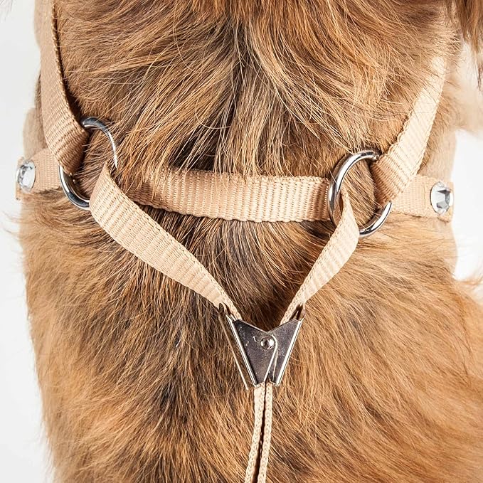 Pet Life ® Luxe 'Furracious' Mesh Reversed 2-in-1 Adjustable Chest Pet Dog Harness and Leash with Removable Fur Collar