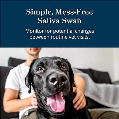 Petivity At-Home Kidney Health Test Kit for Dogs — Quick Saliva Urea Test (2-Minute Home Check), Powered by Purina — Help Detect Early Kidney Changes - (Pack of 1)