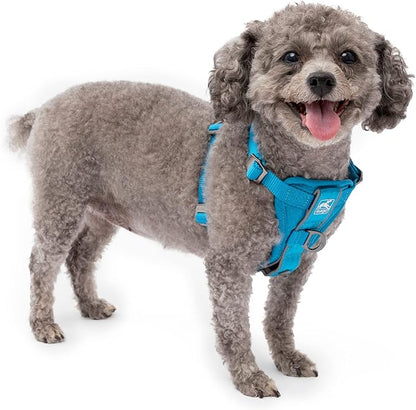 Kurgo Tru-Fit Smart Dog Walking Harness - Comfortable Fit - Adjustable Harness - Reflective Pet Wear - Quick Strap Release - Daily Walk Accessory - Includes Seat Belt Loop - Blue - X-Small