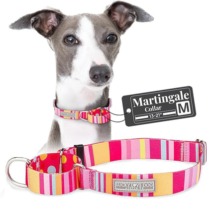 Lucky Love Dog Martingale Dog Collar - Adjustable, No-Slip, Durable, & Soft Webbing Collar for Male and Female Dogs Ideal for Training & Walking - Molly, Medium