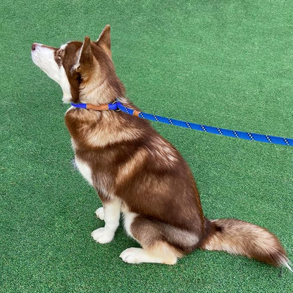 5 FT Slip Lead Dog Leash, Heavy Duty Rope Leash for Small Medium Large Dogs, No Pull Training Lead with Reflective Thread, Strong Comfortable Loop Leash (Blue Stripe, Large(1/2"))